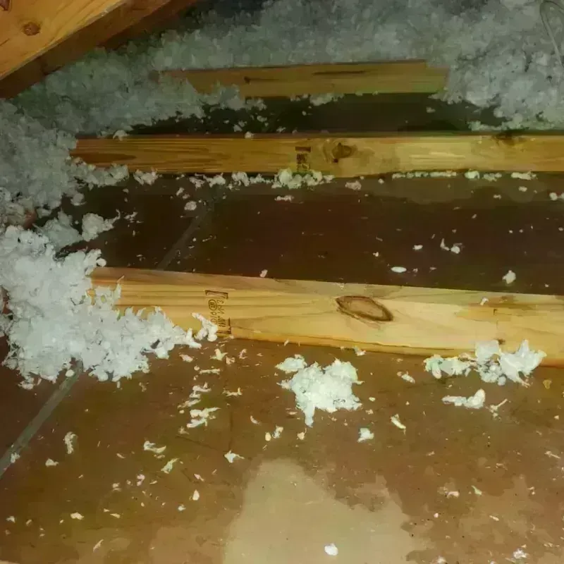 Attic Water Damage in Milton, WV