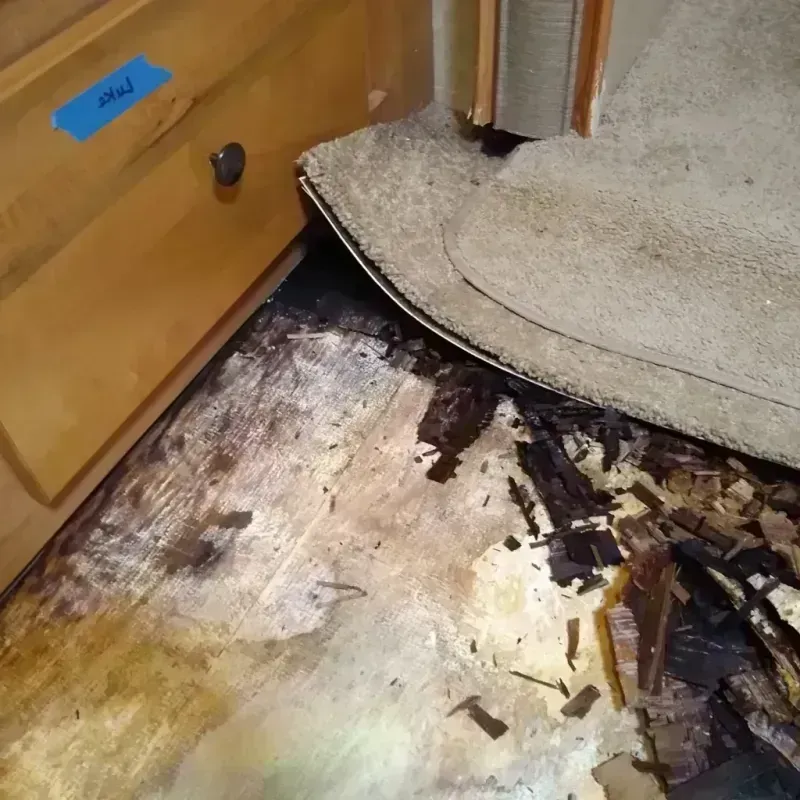 Wood Floor Water Damage in Milton, WV